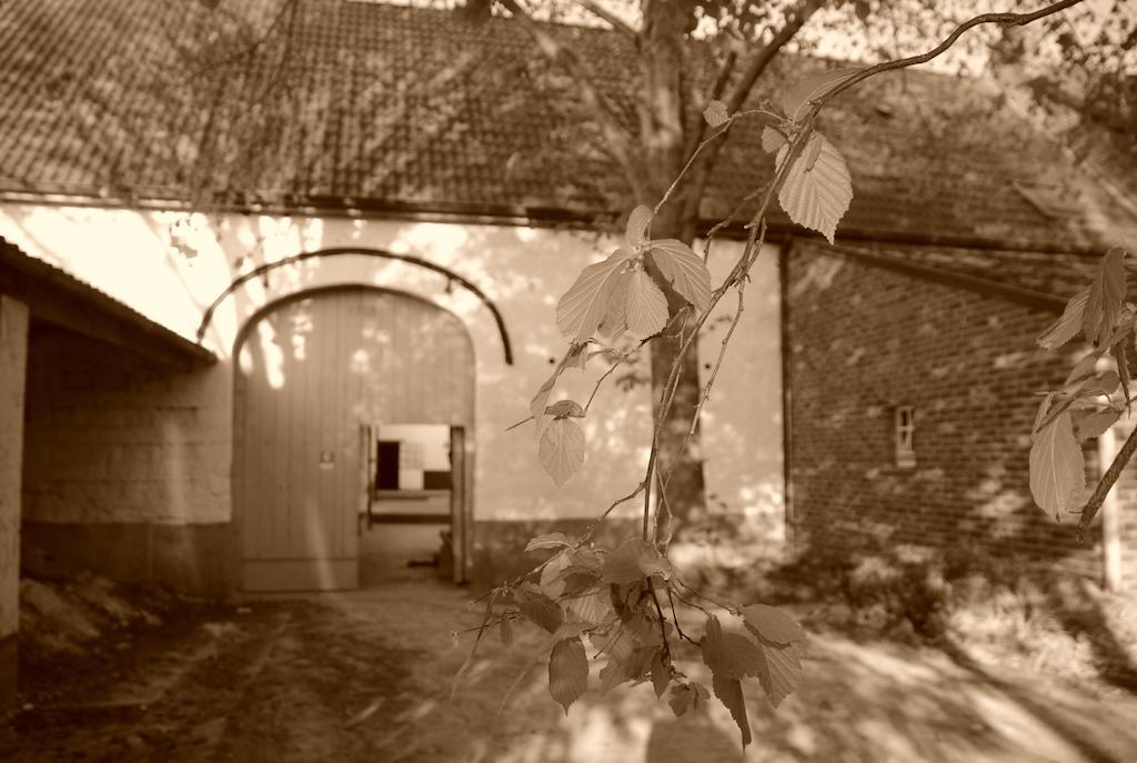 B&B De Oude Winning Riemst Exteriér fotografie