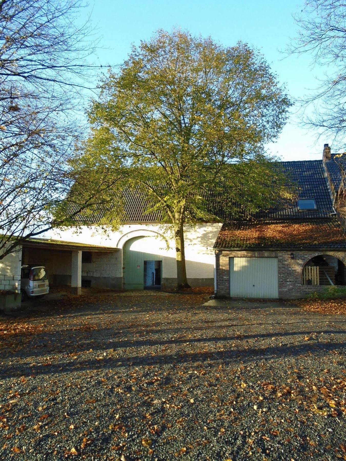 B&B De Oude Winning Riemst Exteriér fotografie